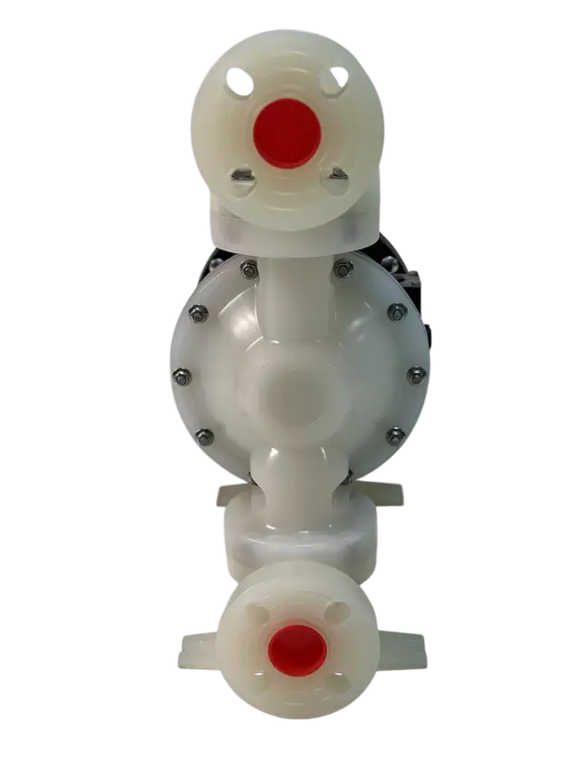 PD15 — vista 2